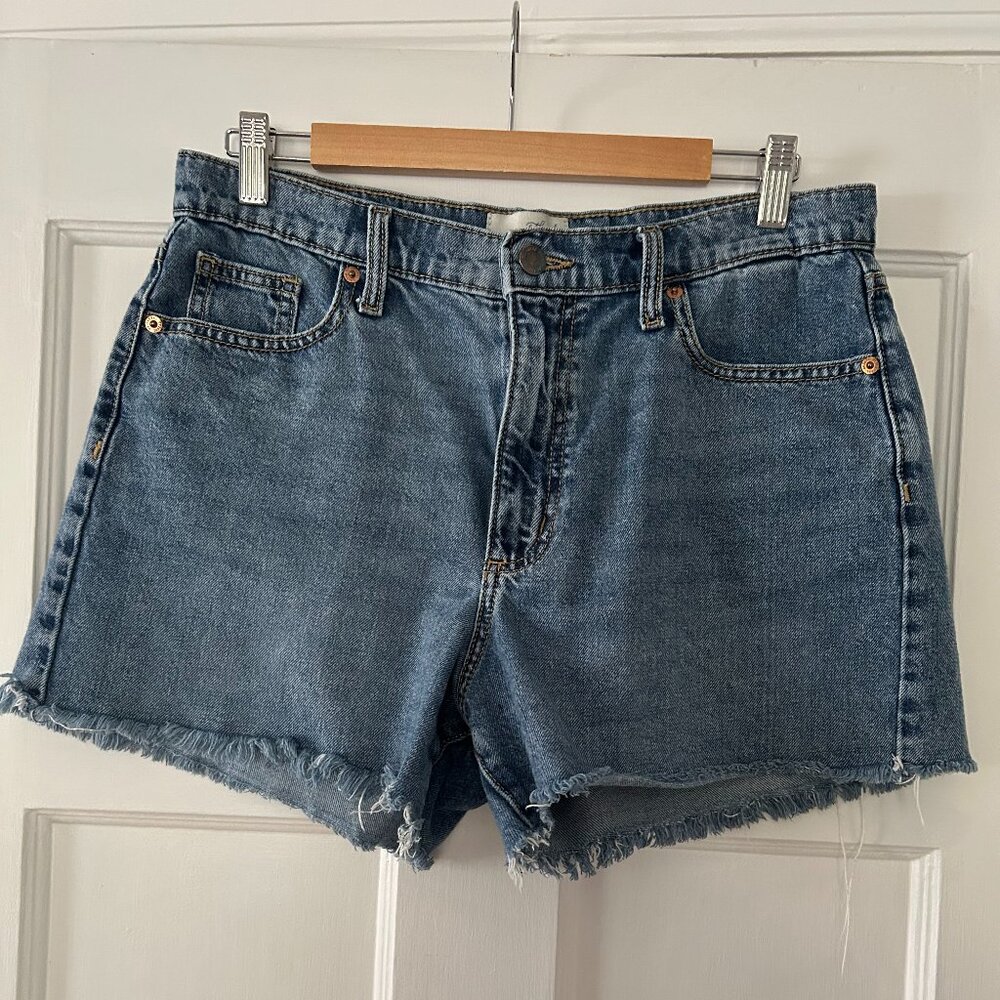 Universal Threads Boyfriend Shorts Size 28 (6)